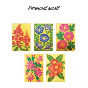 perennial small